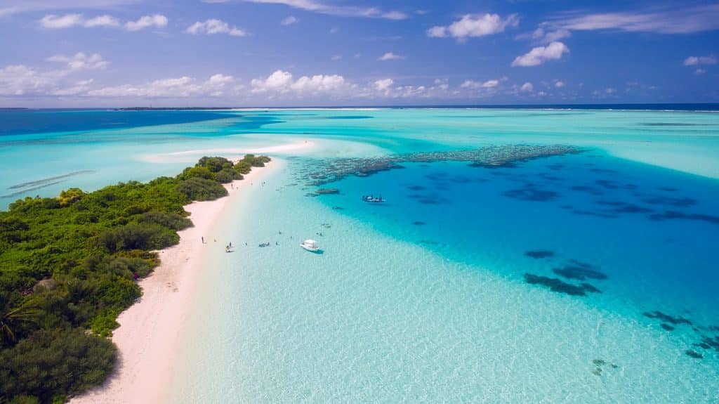 océan des maldives acidification
